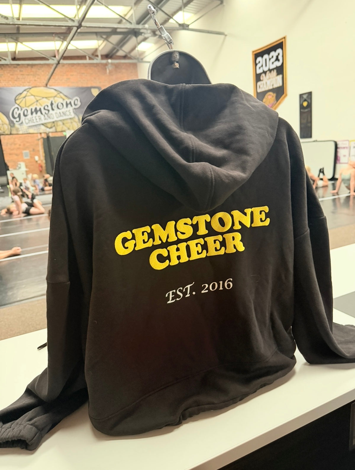 Anniversary hoodie